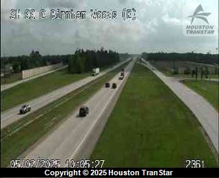 SH99 @ Birnham Woods (E), FACING South
