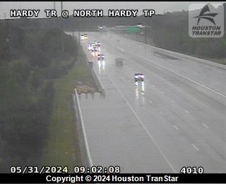 HTR @ North Hardy TP, FACING West